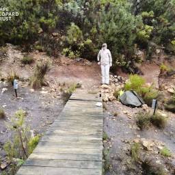 Setting up camera traps for the Overberg survey